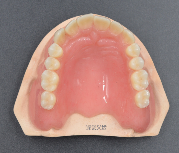 全口胶托1
