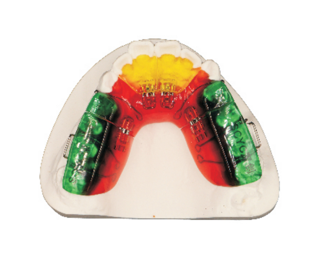 Multi functional screw expander