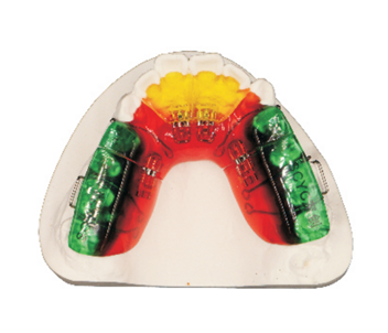 Multi functional screw expander